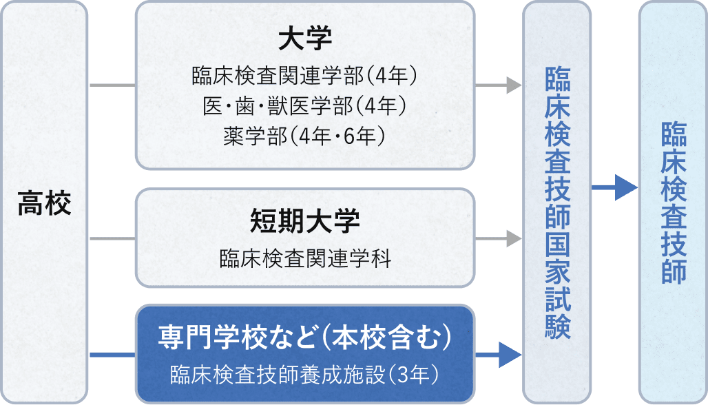 資格取得ルートの図表