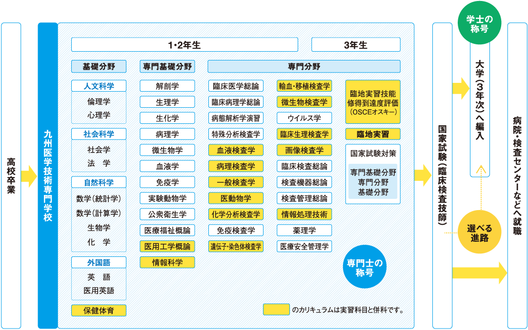 3年間のカリキュラム